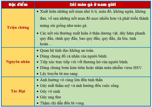 Bao quy đầu nổi mụn có thể là bệnh sùi mào gà