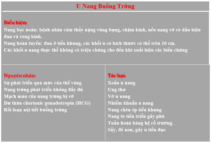 Bệnh u nang buồng trứng là như thế nào?