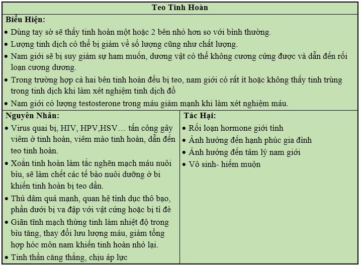 Những thông tin về bệnh teo tinh hoàn quan trọng