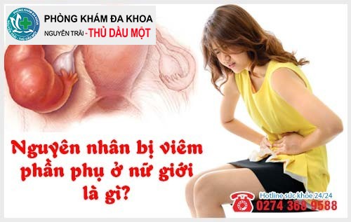 Nguyên nhân bị viêm phần phụ ở nữ giới là gì?