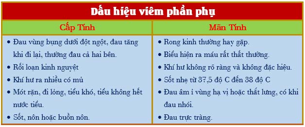 Những triệu chứng nhận biết bệnh viêm phần phụ ở phụ nữ